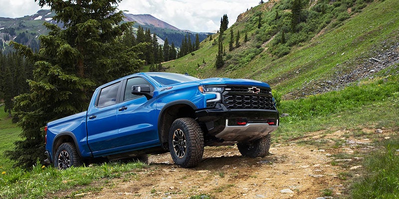 Chevy Silverado in the wilderness